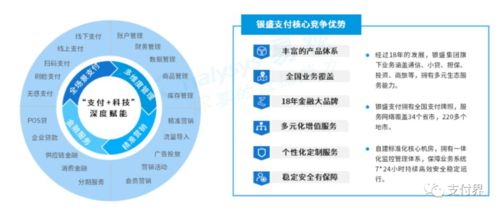 數(shù)字紅利普惠生活服務(wù)市場(chǎng)，第三方支付機(jī)構(gòu)轉(zhuǎn)型破局